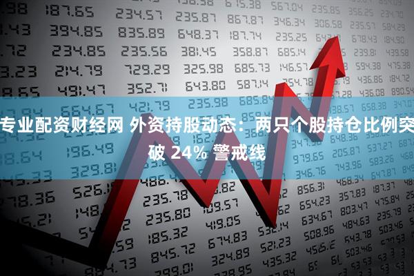 专业配资财经网 外资持股动态：两只个股持仓比例突破 24% 警戒线