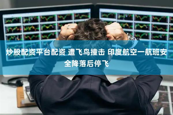 炒股配资平台配资 遭飞鸟撞击 印度航空一航班安全降落后停飞
